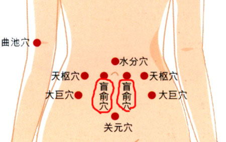 盲俞穴→治腹脹、便秘