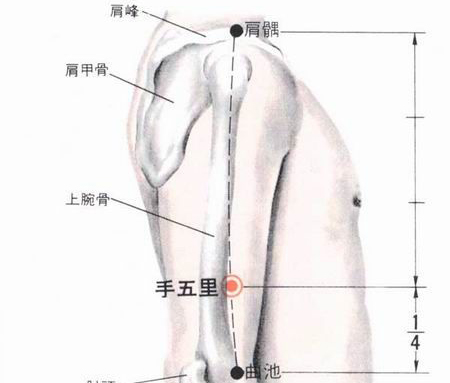 手五里穴→理氣散結(jié)