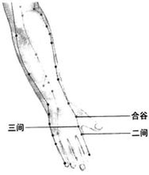 三間穴→治牙痛、腹脹