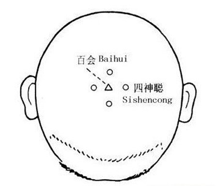 百會(huì)穴→治胸部脹滿