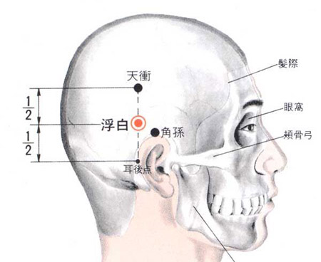 浮白穴→治頭痛、耳嗚