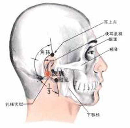 瘈脈穴→頭痛、耳聾