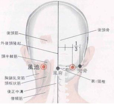 風(fēng)府穴→治頭面、五官疾病