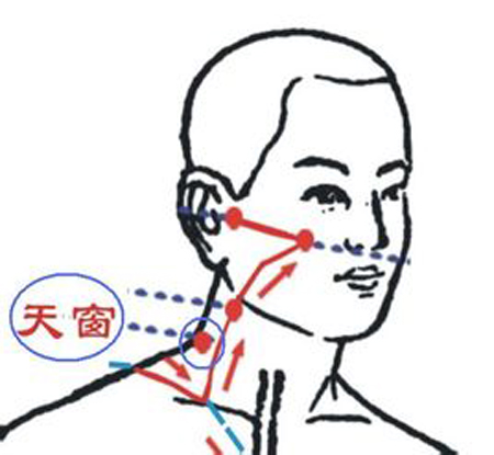 天窗穴→治耳鳴、耳聾