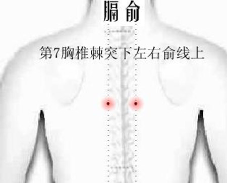 膈俞穴→治嘔吐、呃逆