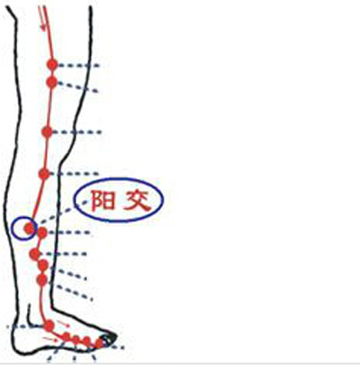 陽(yáng)交穴→治胸肋脹滿疼痛