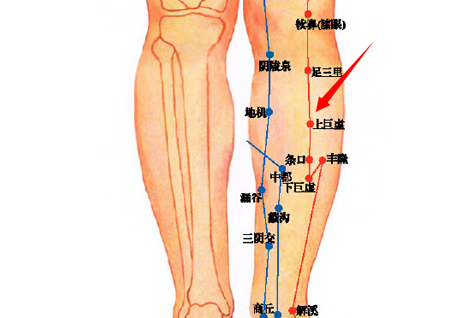 上巨虛穴→治腸鳴、腹痛