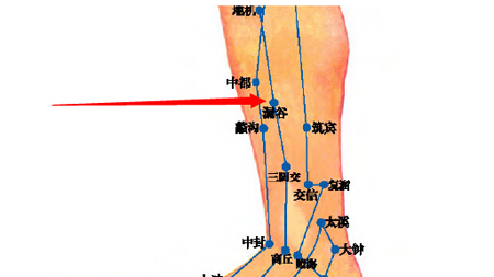 漏谷穴→治腹脹、腸鳴