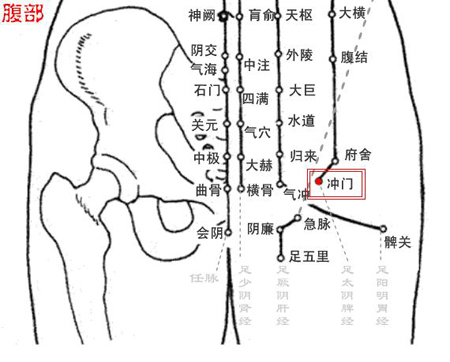 沖門穴→治腹痛、帶下