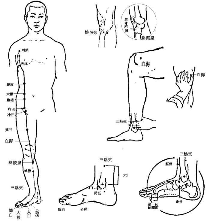 脾經(jīng)