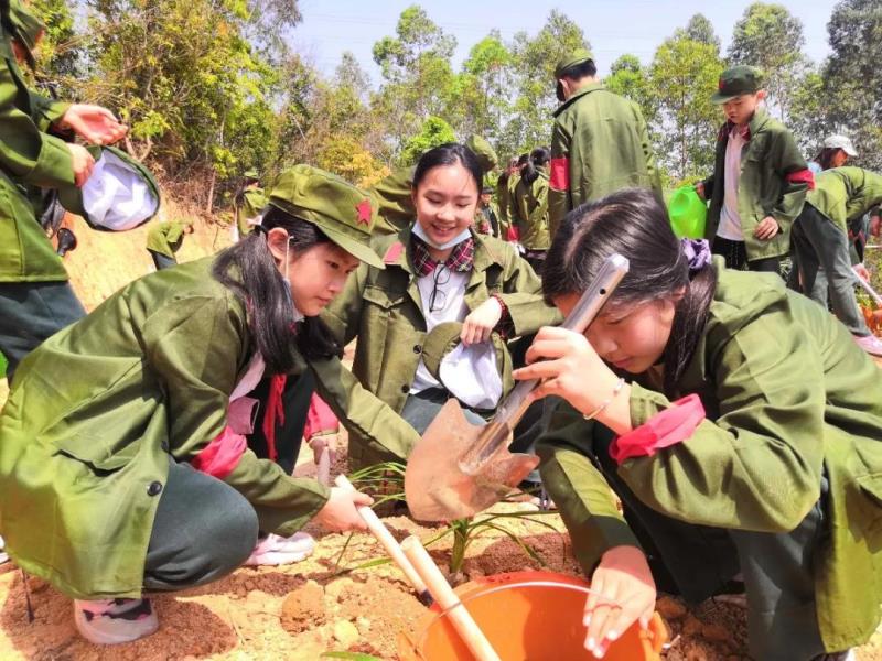 勞動(dòng)實(shí)踐：種植萱草