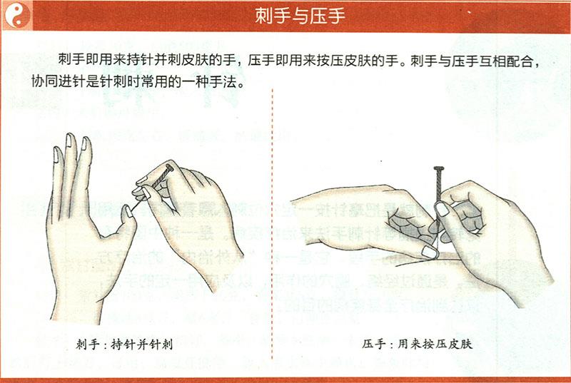 一般針法的運用原則是什么？