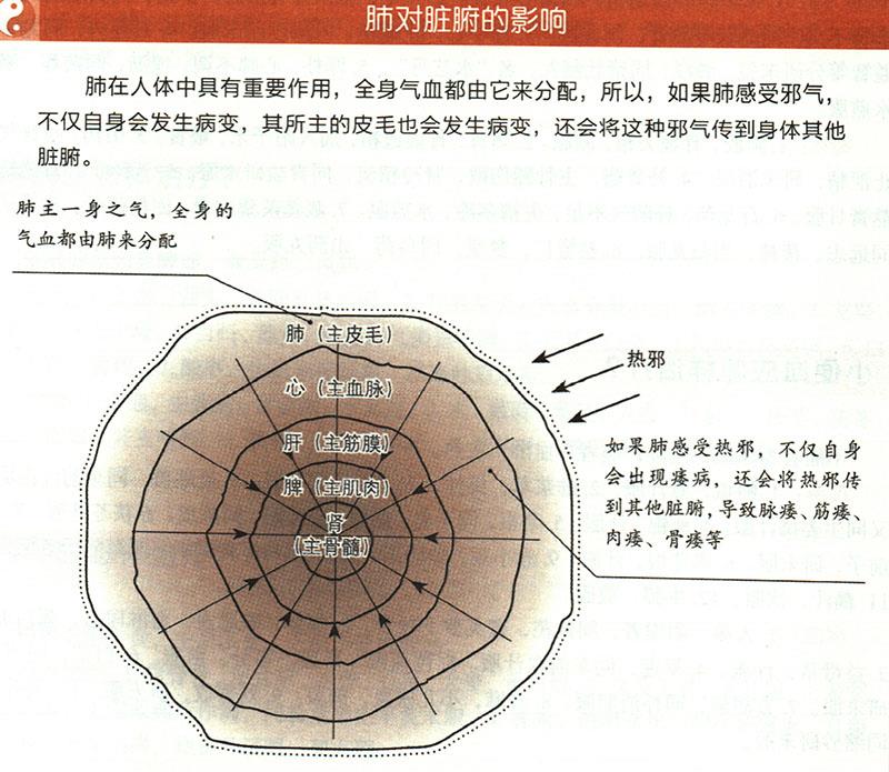 陰痿應怎樣治療？