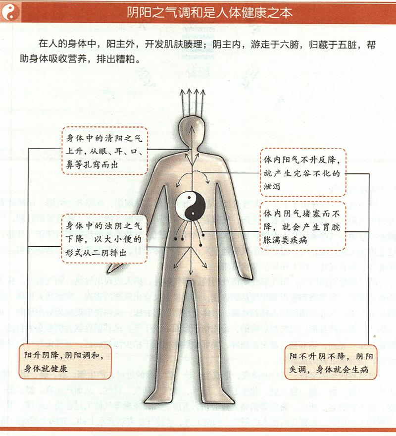 人為什么一定要陰陽(yáng)調(diào)和才健康？