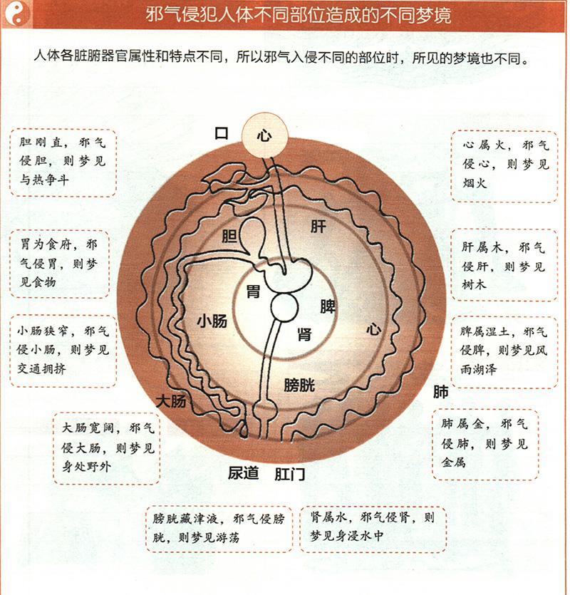 如何從夢境推算健康？