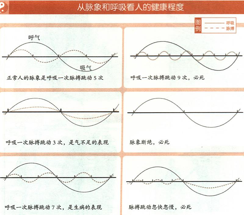 如何從脈象和呼吸推算健康？