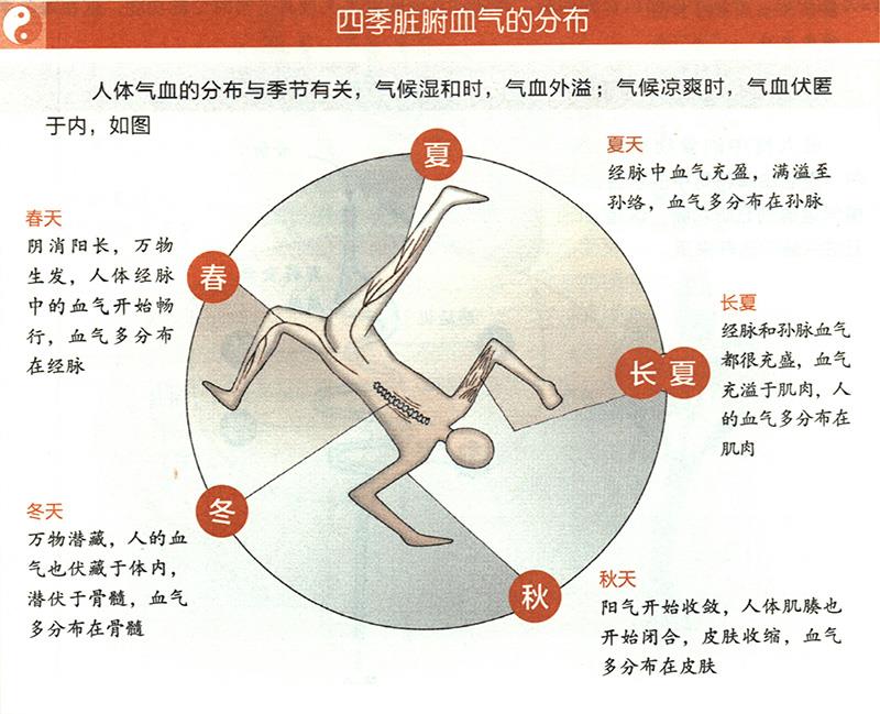 四季臟腑血氣是怎樣分布的？