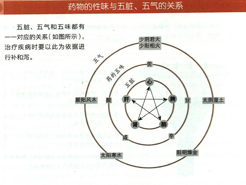 藥物的性味與五臟、五氣有什么關(guān)系？