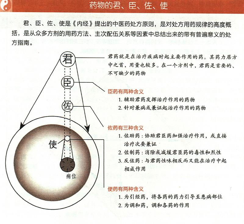 什么是藥物的君臣佐使？