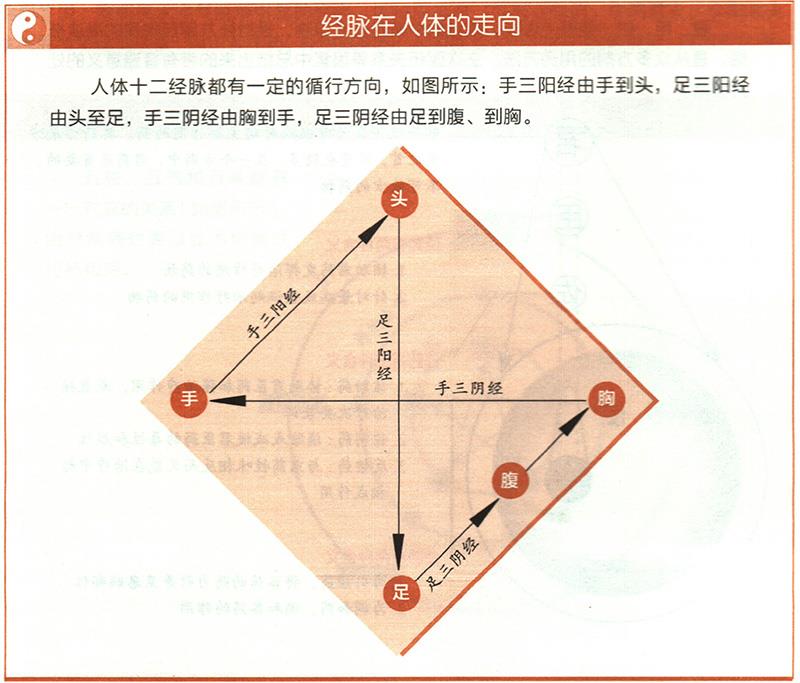 十二經(jīng)脈的起止點(diǎn)分別在哪里？