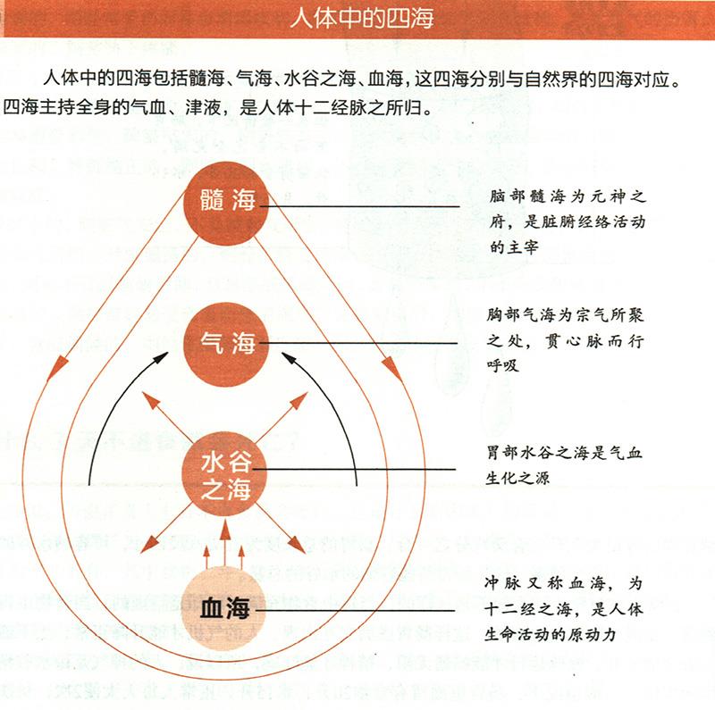 人體中的四海是怎樣的？