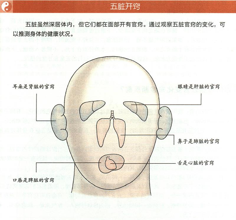 如何根據(jù)五官變化來診斷疾?。? /></a>
        </div>
       </li>
      </ul>
      <div   id=