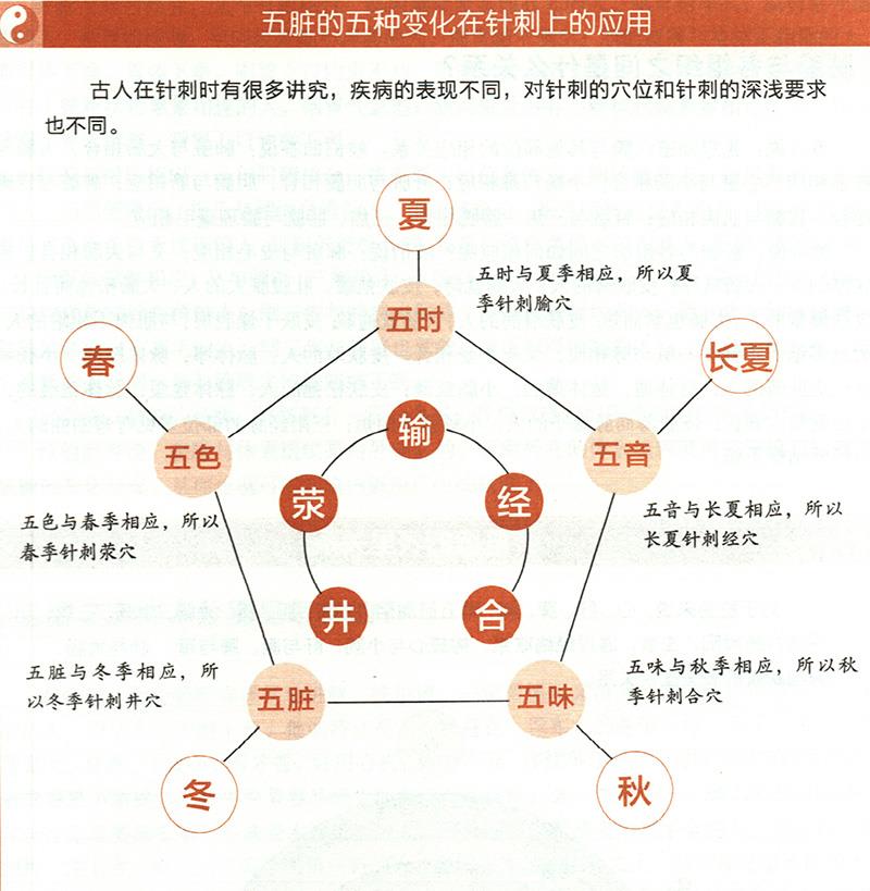 五臟的五種變化對應(yīng)的不同針刺法有哪些？