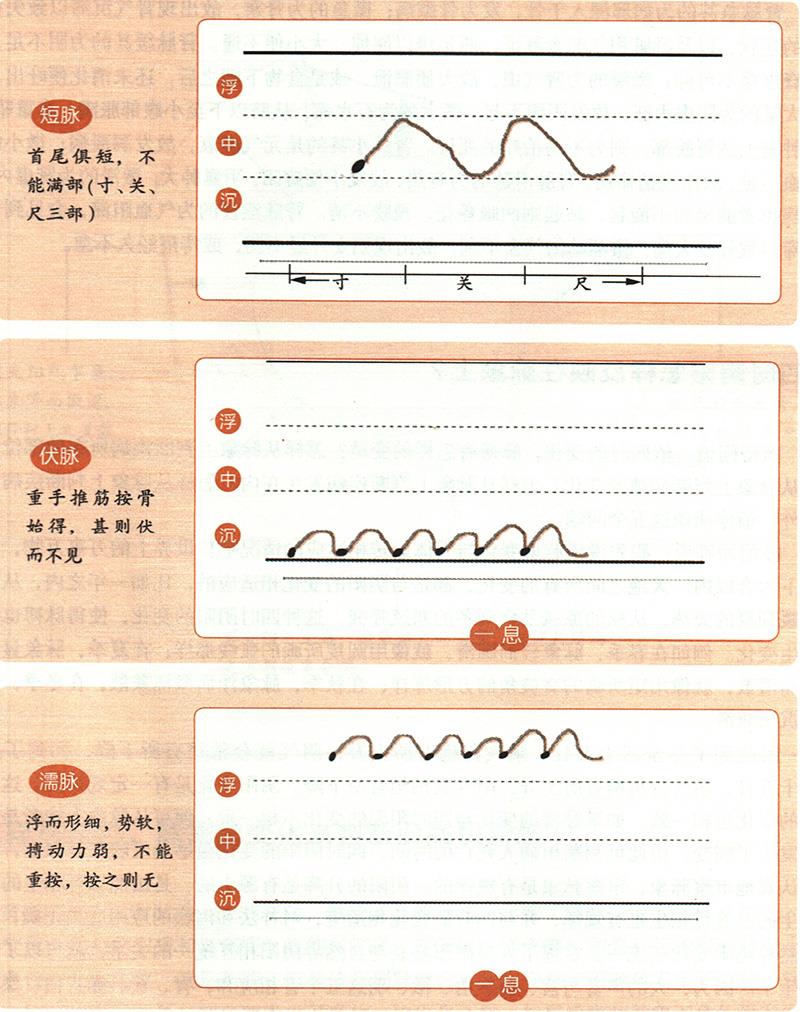 緩、急、小、大、滑、澀六種脈象所對應(yīng)的病狀情形是怎樣的？