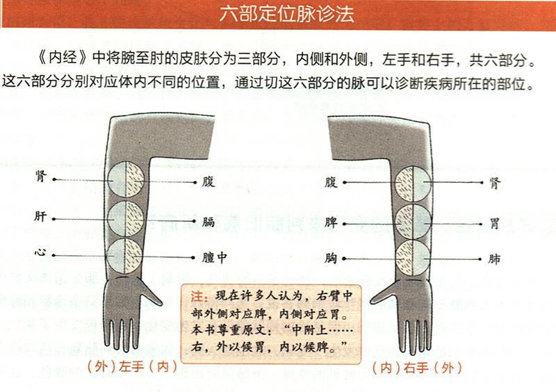 如何在尺膚上診斷疾病？