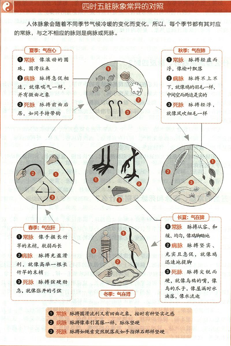 五臟的常脈、病脈和死脈分別是什么？