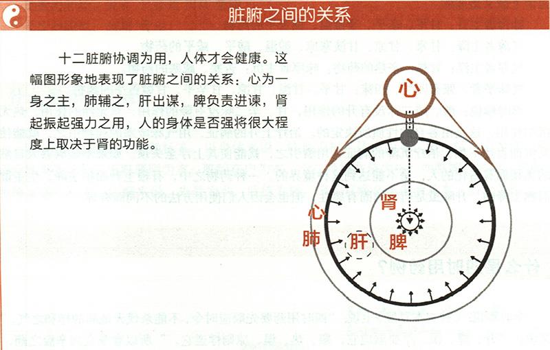 什么是五臟五味補瀉？