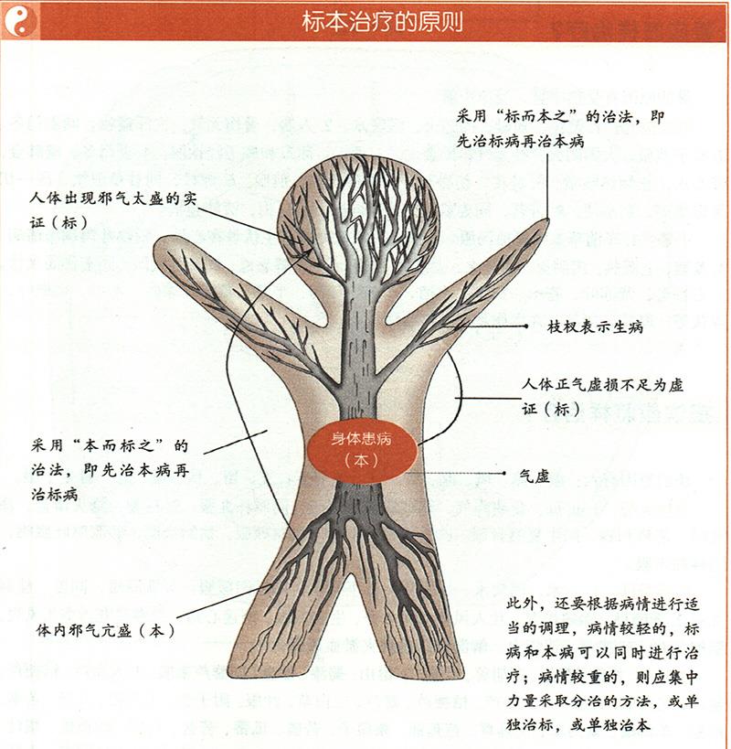 什么是標本陰陽？