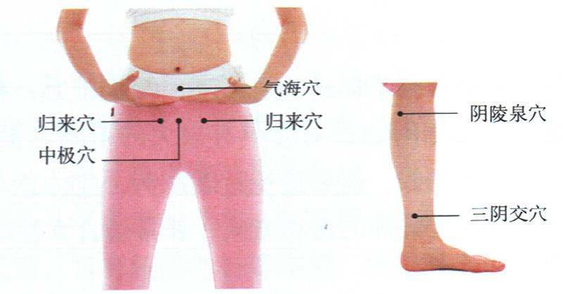 按摩歸來(lái)穴、中極穴等，健脾調(diào)經(jīng)更助孕