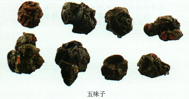 蒙藥經(jīng)方