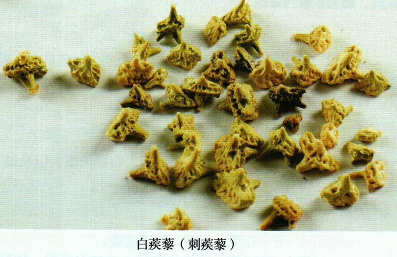 蒙藥經(jīng)方