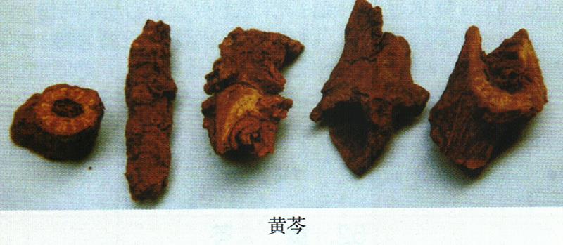 蒙藥經(jīng)方