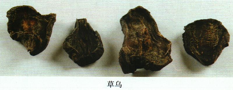 蒙藥經(jīng)方