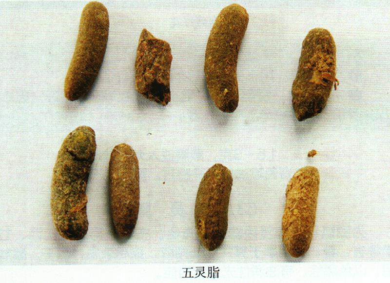 蒙藥經(jīng)方